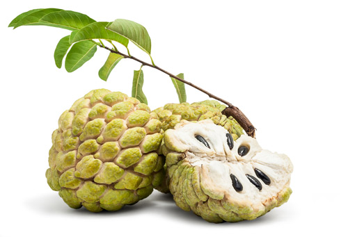 [Image: na-giup-ngan-ngua-benh-hen-suyen-va-dau-tim.jpg]