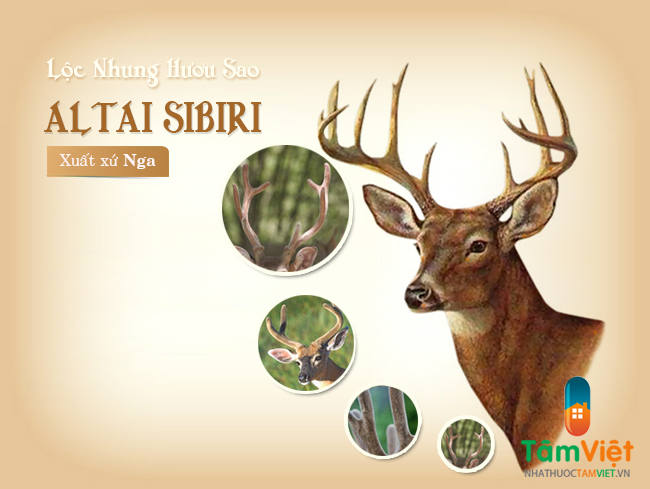 [Image: nhung-huou-Nga-co-gia-tri-dinh-duong-cao...c-khoe.jpg]