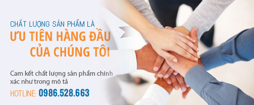Cam kết Công ty Tâm Việt